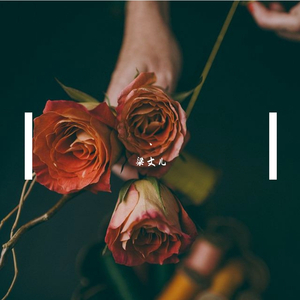 久久在热视频精品
