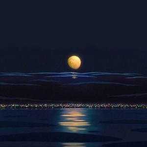 久久在热视频精品
