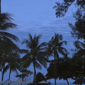 久久在热视频精品
