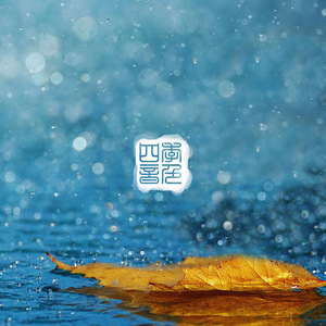 久久在热视频精品
